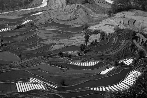 Terraced Fields Holy Scenery 8