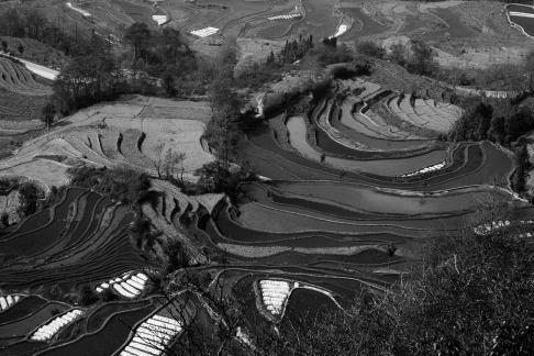 Terraced Fields Holy Scenery 9