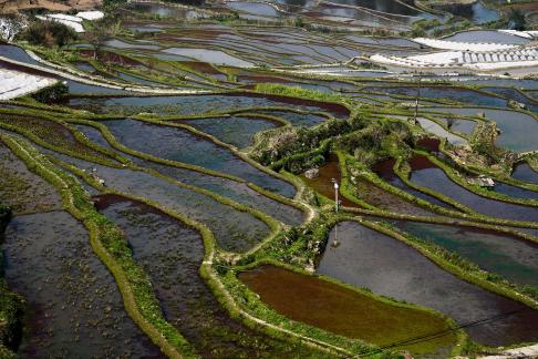 Terraced Fields Holy Scenery 19