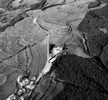 Green Valley Golden Steps 9