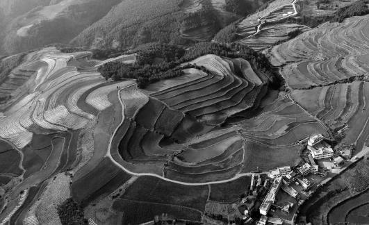 Green Valley Golden Steps 11