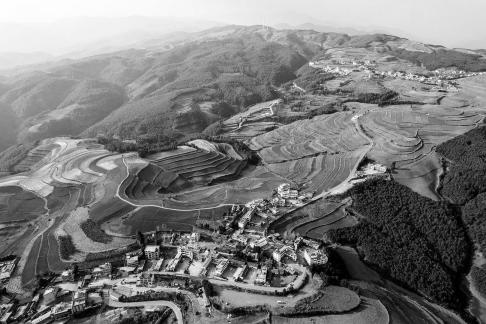 Green Valley Golden Steps 12