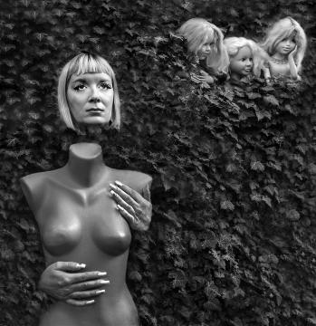Kinghoom of dolls