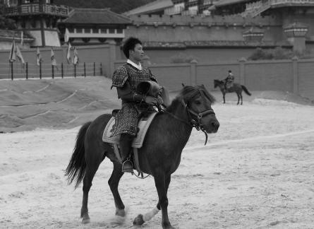 Equestrian performance 3