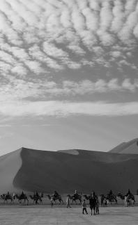 Desert Journey 5