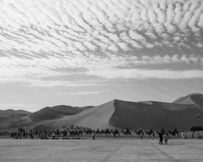 Desert Journey 6