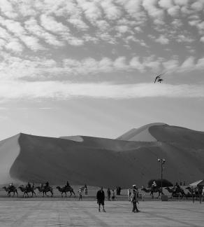 Desert Journey 7