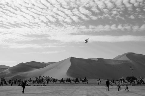 Desert Journey 8
