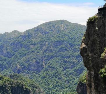 Green Cliff 35