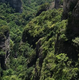 Green Cliff 36