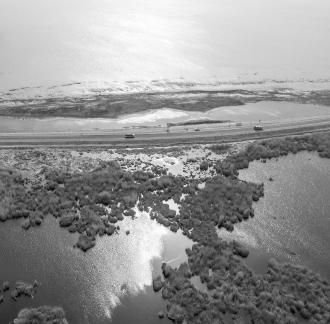 Ice Lake Reed Path Book 26