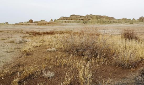 Gobi desert 6