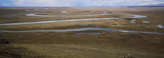 Autumn riverbank 11