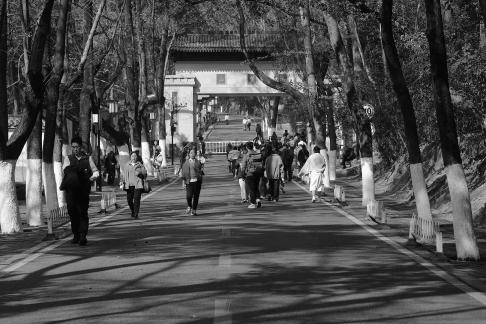 Journey to Yuelu Mountain 1