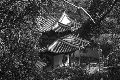Journey to Yuelu Mountain 3