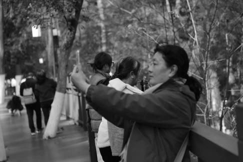 Journey to Yuelu Mountain 4