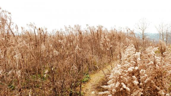 Drying up in winter 11