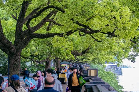 A corner of the park 4