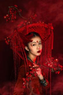 Red Plum Blossoms