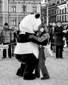Tango with Panda