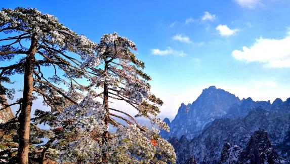 First snow in Mount Huangshan