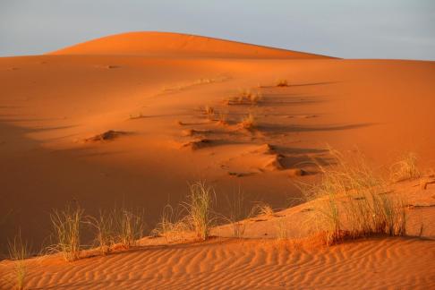 Sahara Landscape