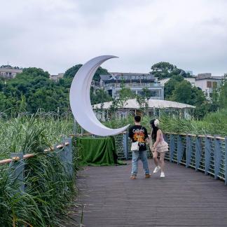 Couples by the Moon