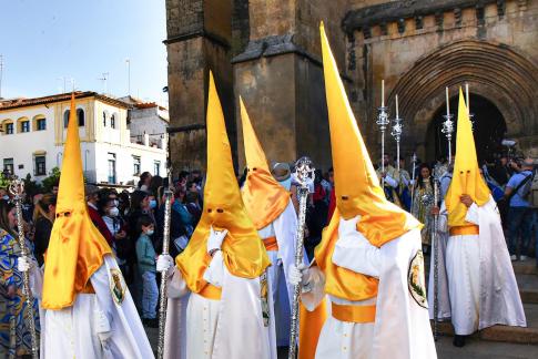 Capirotes amarillos