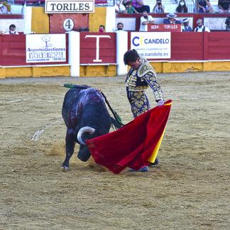 Banderillas verdes