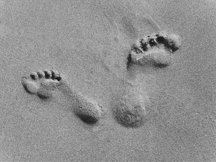 Footprints in the sand