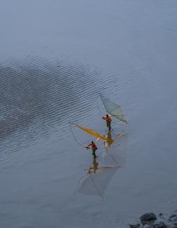 Mudflat fishing