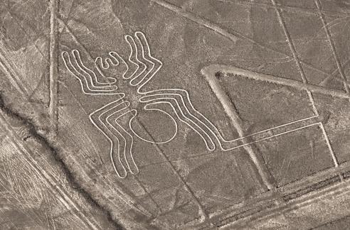 Nasca Lines The Spider 2