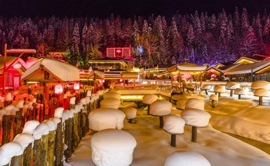 Beautiful Snow Village