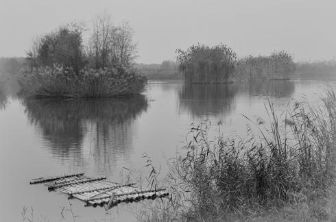 Wilderness Ferry