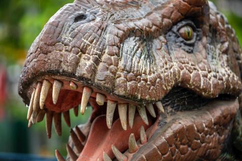 Dinosaur