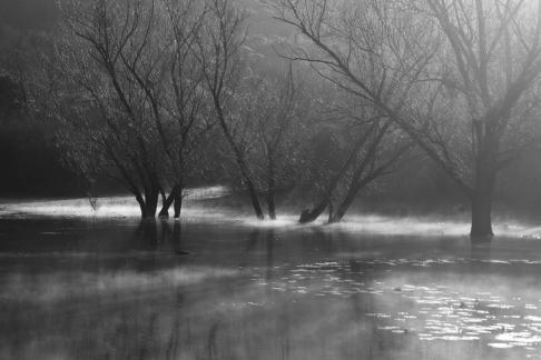 The mysticism of the morning