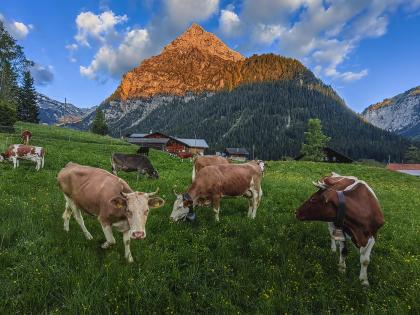 Pastoral Song of the Green Valley
