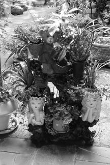 Cute potted plant