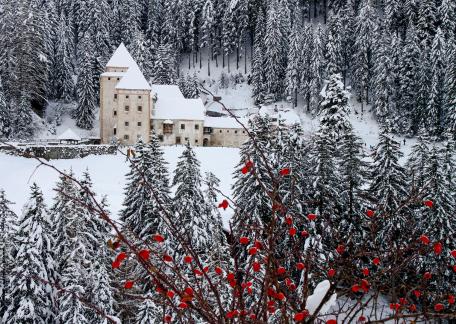 Castle37