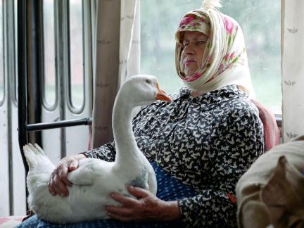 On the way to the market