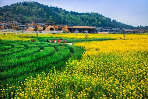 Eight people walking