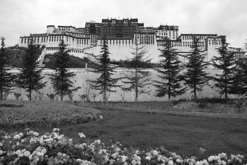 Take a photo in Xizang 1