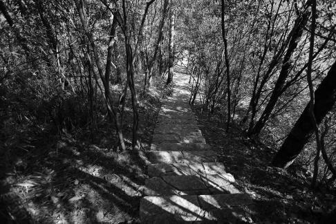 Mountain View Ancient Road 15