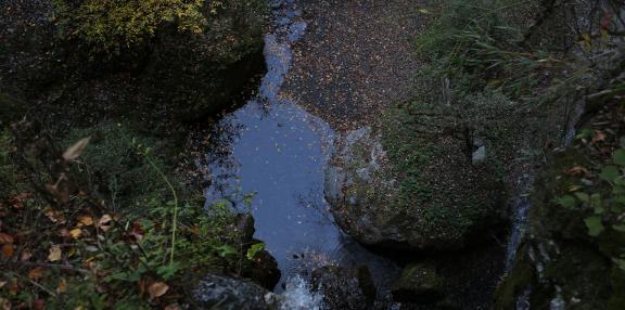 Small stream flow 6