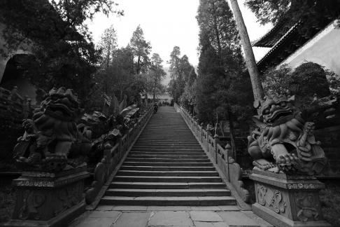 Journey to the Mountains 72