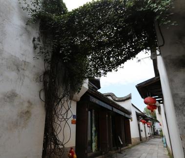 Three Lanes and Seven Alleys 24