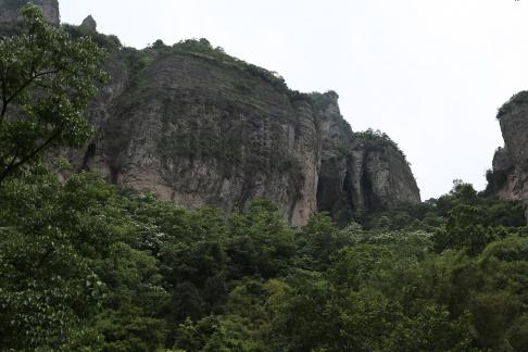 Thick greenery in the mountains 7