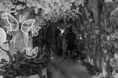 Millions of wishes 1