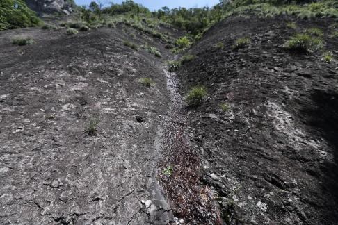 Rock wall vitality 4