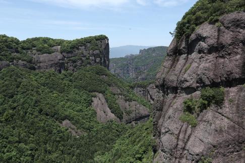 Mountain vegetation 12